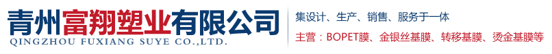 青州富翔塑业有限公司