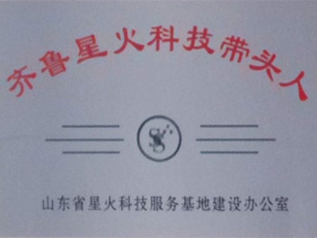齐鲁星火科技带头人