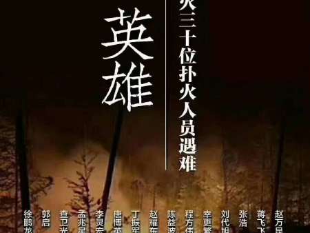 沧州鸿通管道装备有限公司全体员工向凉山英雄致敬