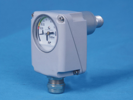 波纹管密度继电器 6#