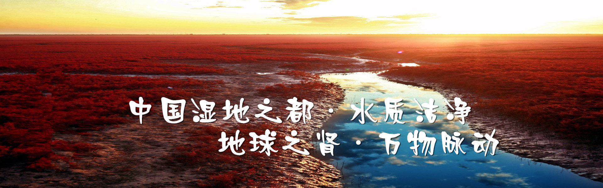 盘锦红海滩
