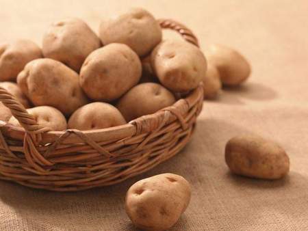 土豆种植户要及时观察市场行情