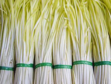 韭黄