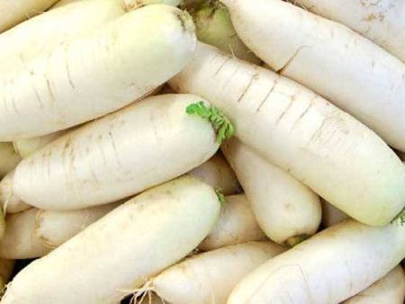 白萝卜