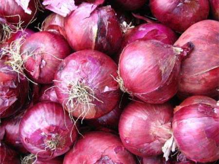 红洋葱