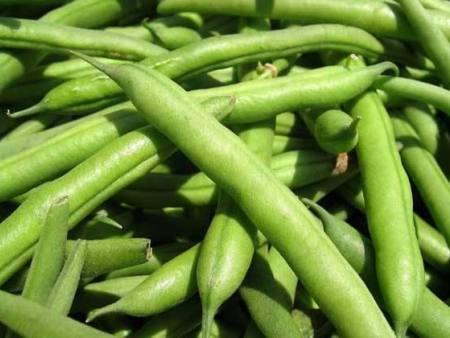 四季豆