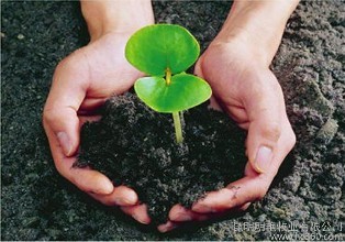 果樹爛根，多數(shù)是這5個原因造成的！