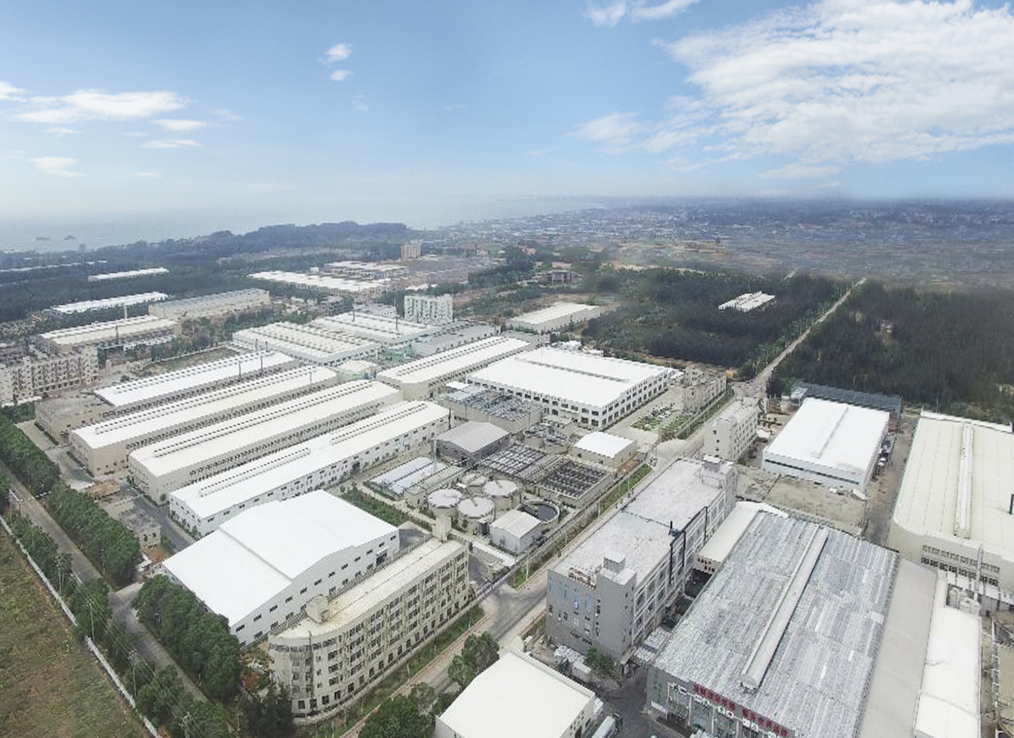 Solidarity and Effort for Shared Brilliance - Summary of the 2024 Ruitai Leather Industry Year-End Banquet