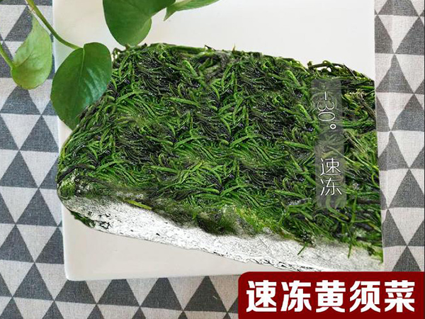 �˼���ζ���延~�����