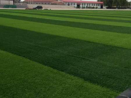 仿真草坪