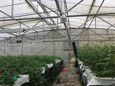 環境監測傳感器和高清圖像采集系統