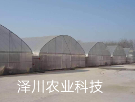 连栋薄膜温室