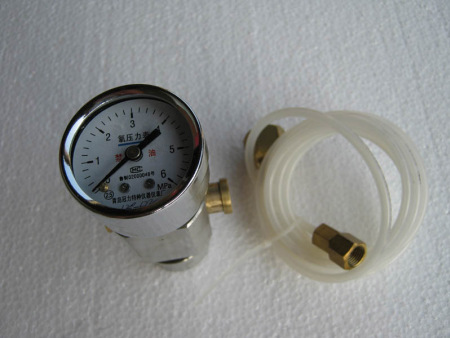 微型充氧仪（量热仪用）