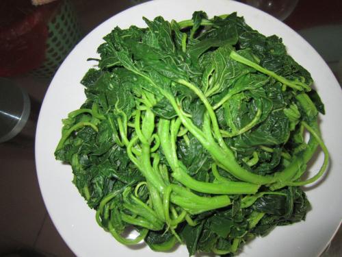 �ٶ����ߵ��������