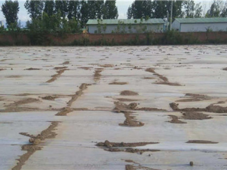 23acf7e2e4a1be5c175bd06a94ec7d6