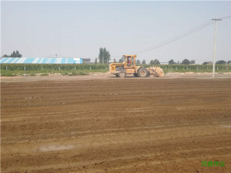 f0940e1b7bfe697da39939cbaef0c1c