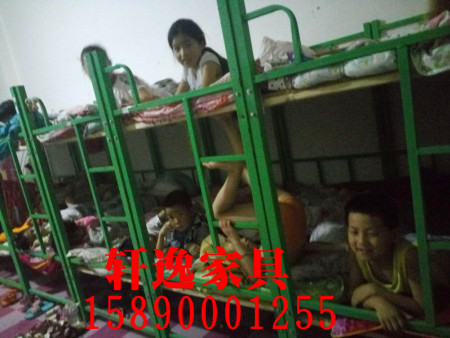 洛阳学生乐虎国际维一官网哪里有卖|物超所值的许昌学生乐虎国际维一官网到哪买