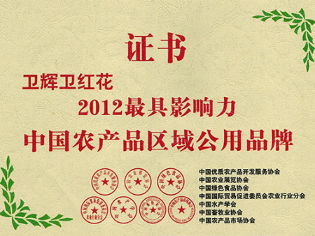 中国区域公用品牌