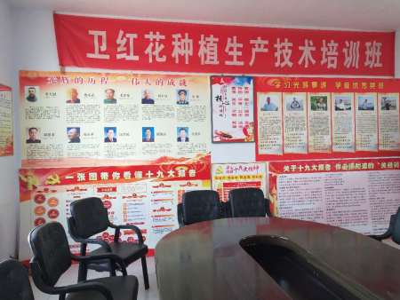 卫红花种植生产技术培训班
