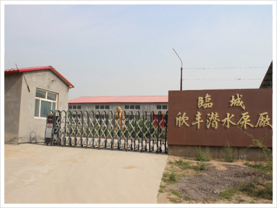 125qj潜水泵|150qj潜水泵|175qj潜水泵|200qj潜水泵-河北临城欣丰水泵厂