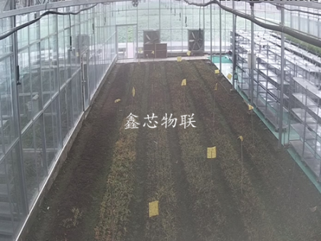 大棚作物生長圖像監(jiān)測