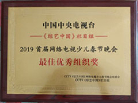 最佳优秀组织奖