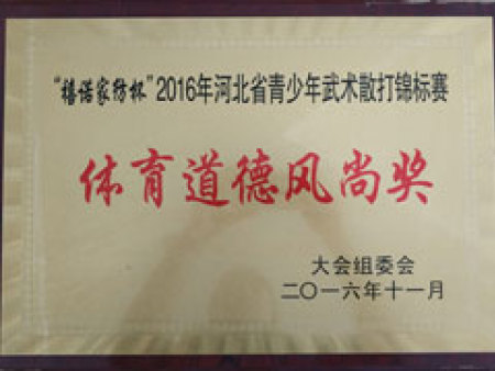 2016体育道德风尚奖