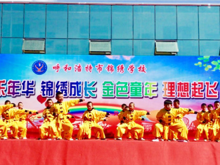 武术表演二年级