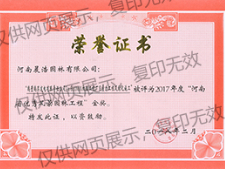 優(yōu)秀工程獎金獎