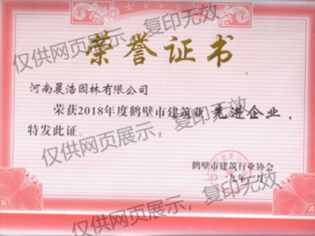 先進企業(yè)稱號