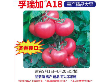 孚瑞加A18