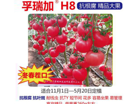 孚瑞加H8