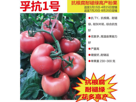 孚抗1号