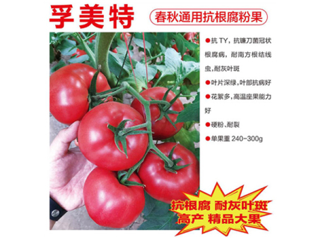 孚美特