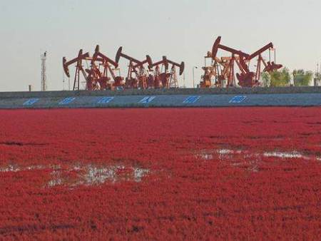 辽河油田(png)