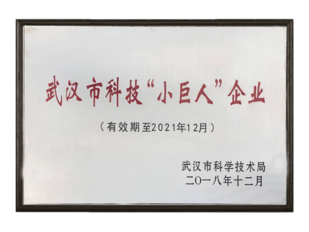 科技“小巨人”企业