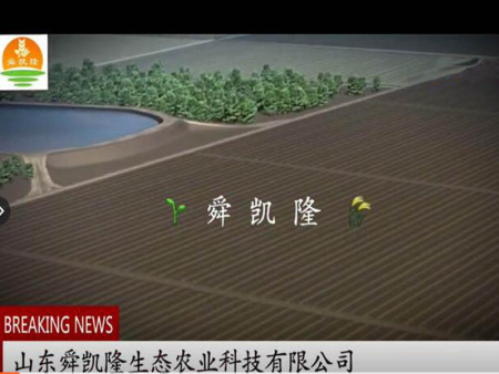 SD-3地埋式自动伸缩一 体化3D效果展示