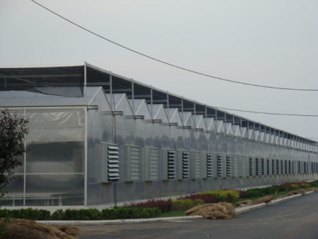 pc板连栋温室