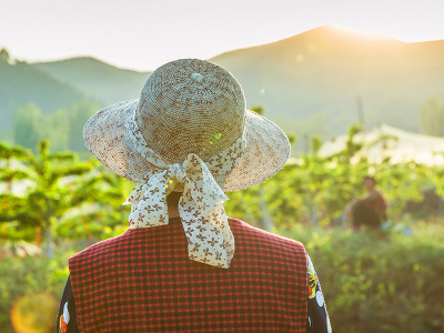 潍坊市亚东化工-中量元素水溶肥-液体肥-叶面肥-大量元素水溶肥
