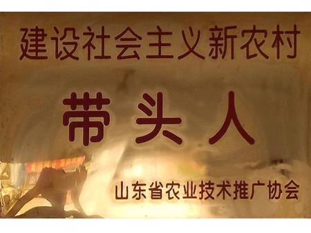 建设社会主义新农村带头人