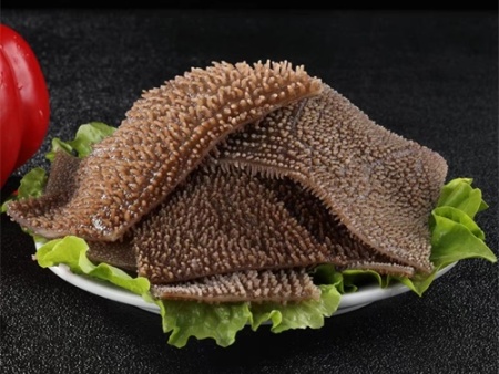 e9e5ecf17da5764d00e0ee71a4bd6d5 e9e5ecf17da5764d00e0ee71a4bd6d5