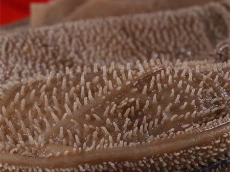 aed3c729b862bcba1806d376fbcc986 aed3c729b862bcba1806d376fbcc986