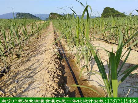 AG�콢�� (�й���)�ٷ���ַ