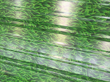 微信图片_20190727173950