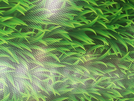 微信图片_20190727173946