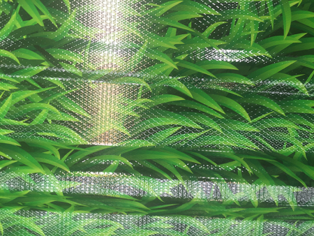 微信图片_20190727173942