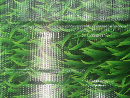 微信图片_20190727173917