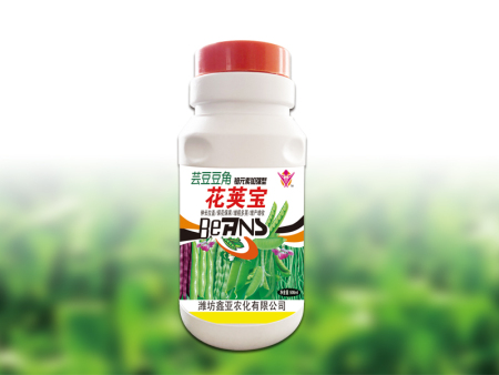 芸豆豆角花荚宝