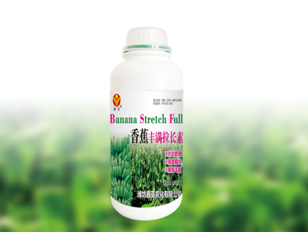 香蕉丰满拉长素