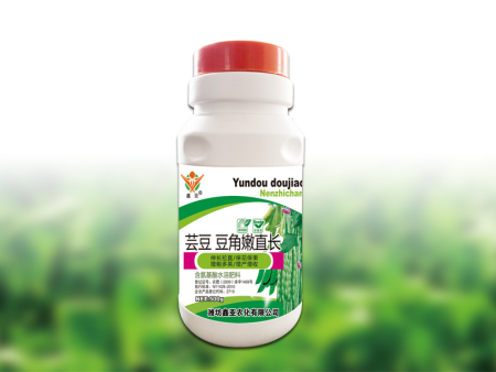 芸豆豆角嫩直长